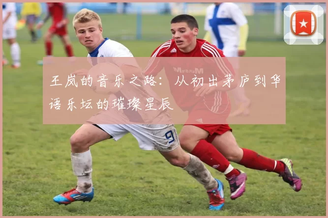 王岚的音乐之路：从初出茅庐到华语乐坛的璀璨星辰